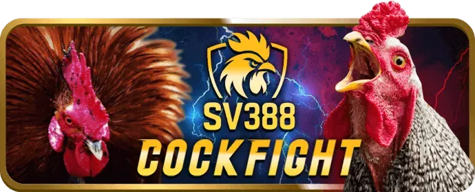Biểu tượng liêm chính và tin cậy của VTV6