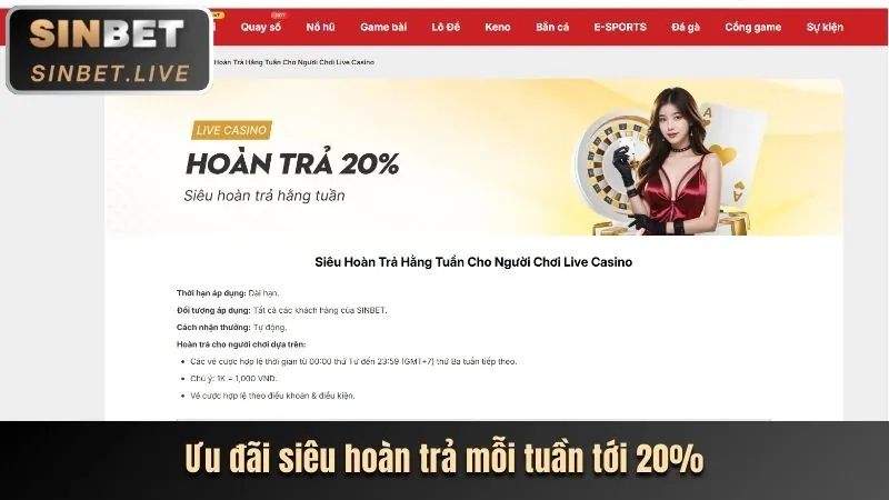 Chiến lược cá cược VTV6
